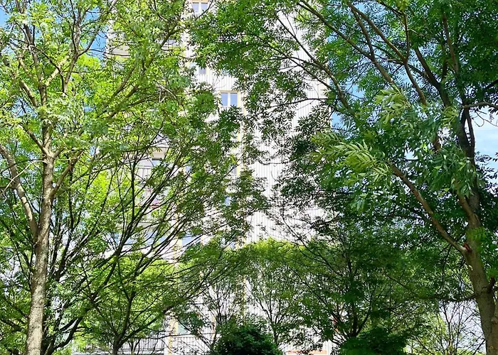 Zlota Piaskowa * Wałbrzych